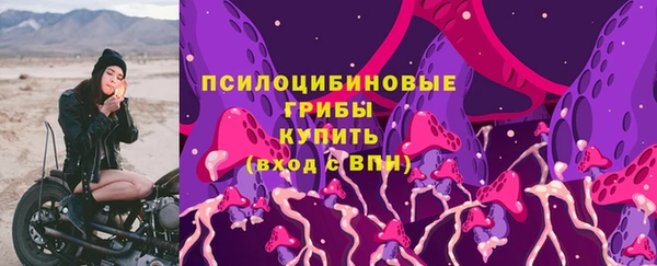 ГАЛЛЮЦИНОГЕННЫЕ ГРИБЫ Гусиноозёрск