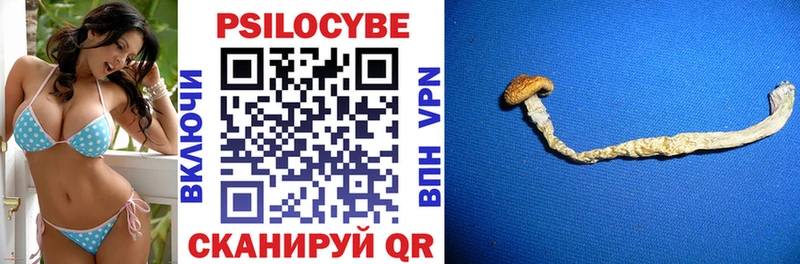 Галлюциногенные грибы Psilocybine cubensis  Сибай 